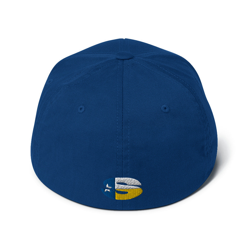 Raiders Structured Twill Cap