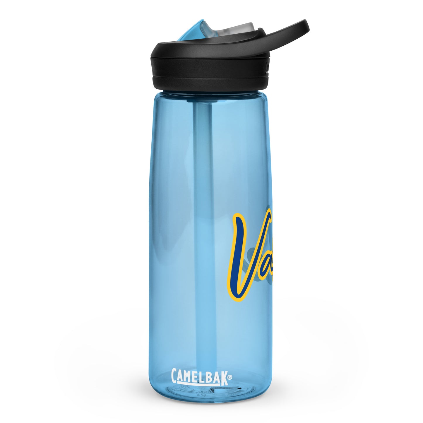 Sports water bottle
