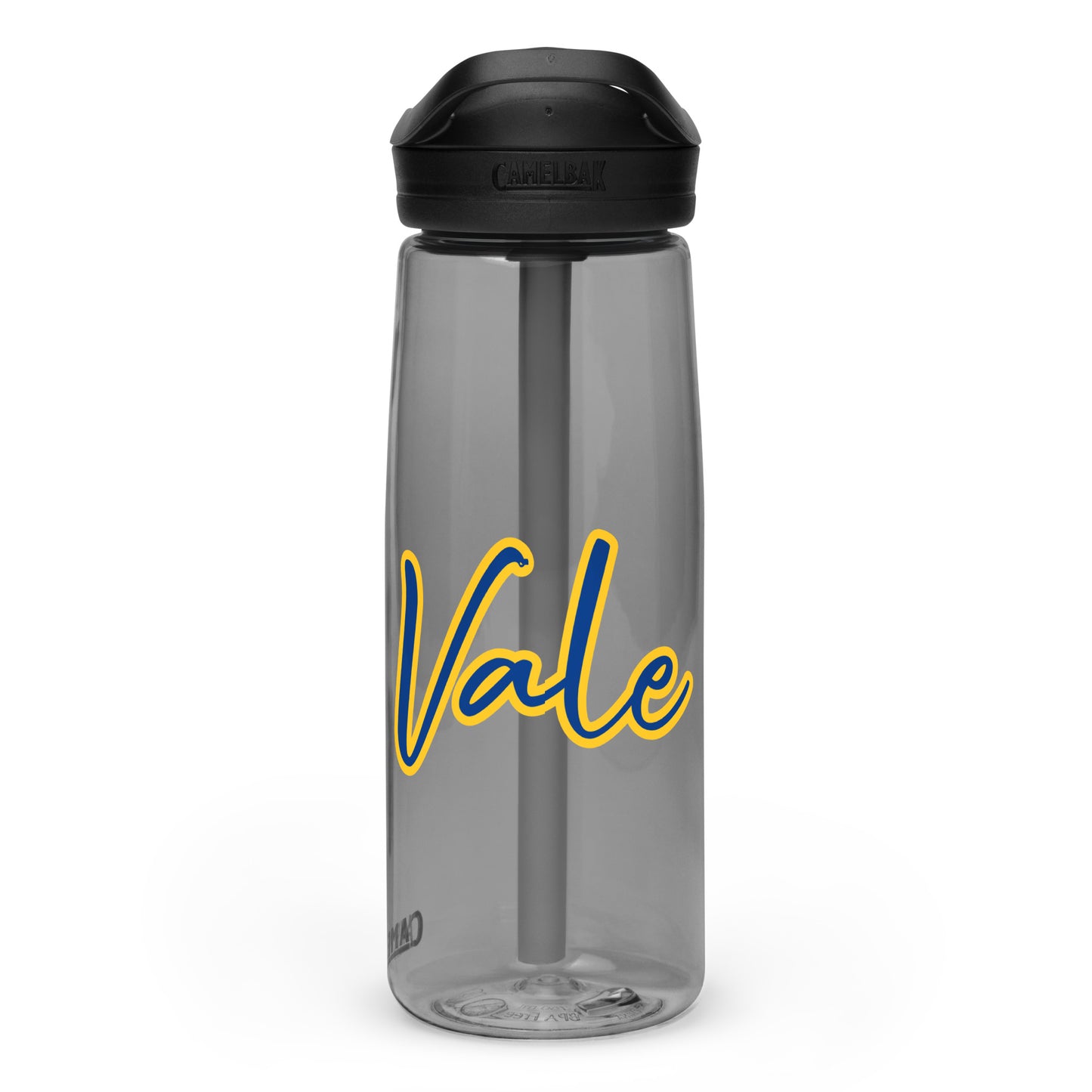 Sports water bottle