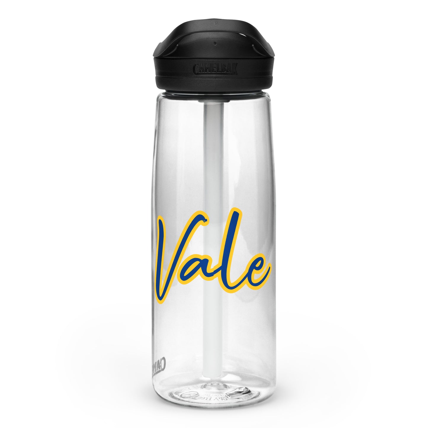 Sports water bottle