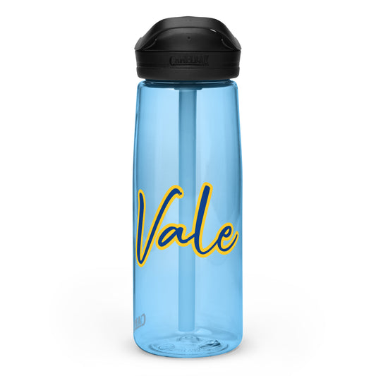 Sports water bottle