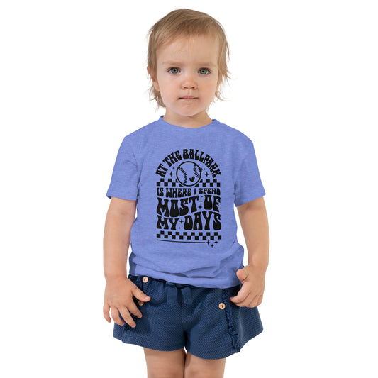 At the ball park Toddler Short Sleeve Tee